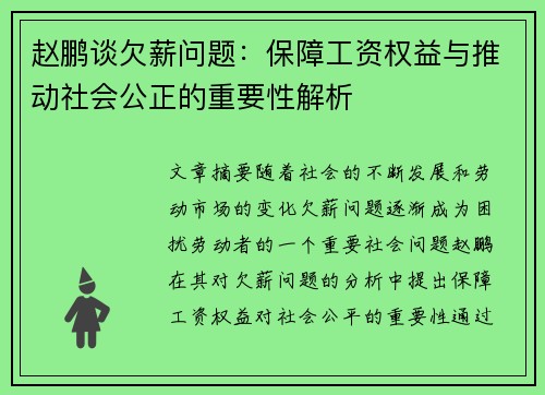 赵鹏谈欠薪问题：保障工资权益与推动社会公正的重要性解析