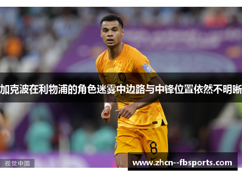 加克波在利物浦的角色迷雾中边路与中锋位置依然不明晰