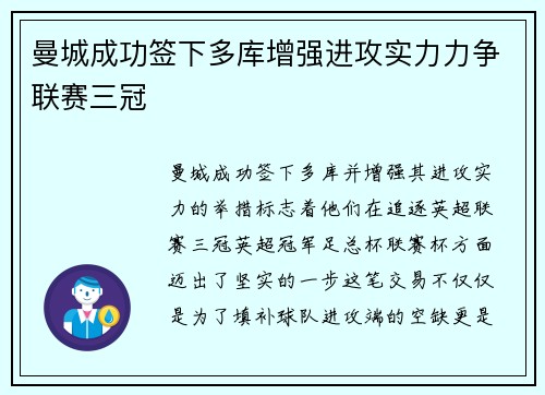 曼城成功签下多库增强进攻实力力争联赛三冠